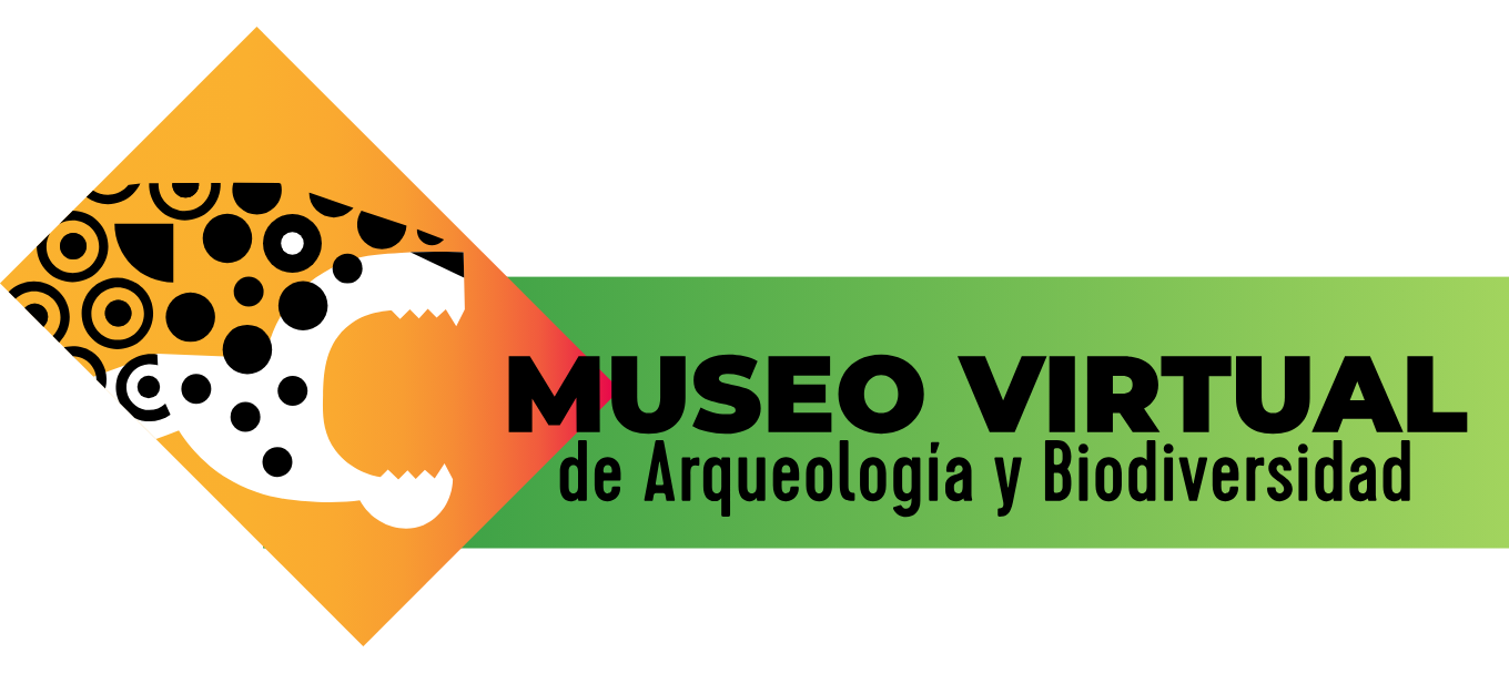 museo virtual conecta