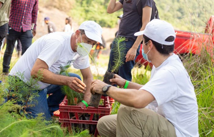 gestion ambiental