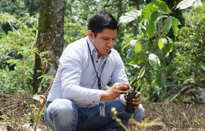 gestión forestal